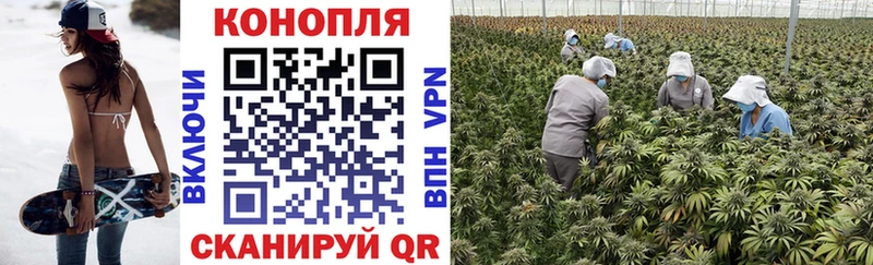 Как найти наркотики Гусь-Хрустальный ГАШ Каннабис СОЛЬ Мефедрон Cocaine