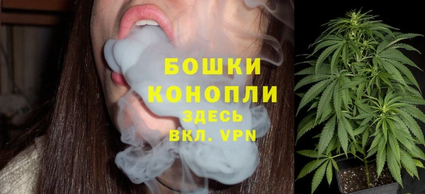стаф Богородицк