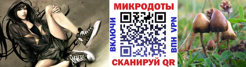 даркнет сайт  кракен как войти  Галлюциногенные грибы ЛСД  Гусь-Хрустальный 